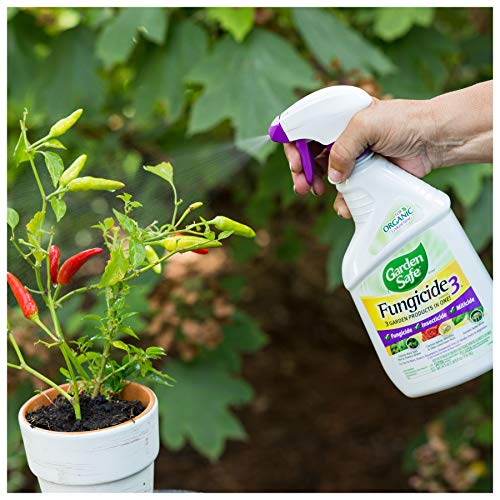 Garden Safe Fungicide, Prevents Fungal Diseases, Controls Black Spot, Rust and Powdery Mildew, Aphids, Whiteflies, Spider Mites, (RTU Spray) 24 fl Ounce