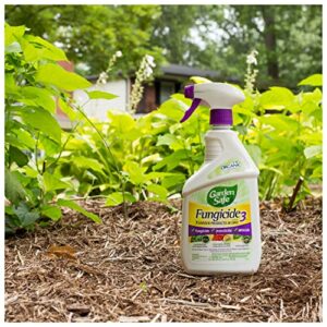 Garden Safe Fungicide, Prevents Fungal Diseases, Controls Black Spot, Rust and Powdery Mildew, Aphids, Whiteflies, Spider Mites, (RTU Spray) 24 fl Ounce