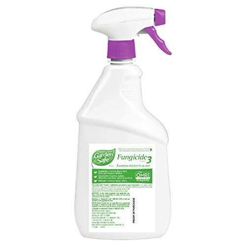 Garden Safe Fungicide, Prevents Fungal Diseases, Controls Black Spot, Rust and Powdery Mildew, Aphids, Whiteflies, Spider Mites, (RTU Spray) 24 fl Ounce