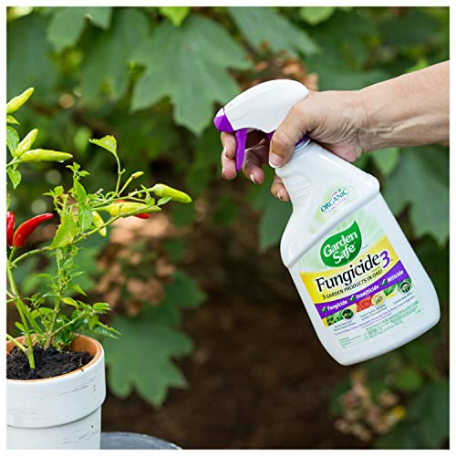 Garden Safe Fungicide, Prevents Fungal Diseases, Controls Black Spot, Rust and Powdery Mildew, Aphids, Whiteflies, Spider Mites, (RTU Spray) 24 fl Ounce
