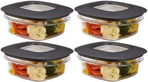 rubbermaid premier food storage container, 1.25 cup, grey (pack of 4)
