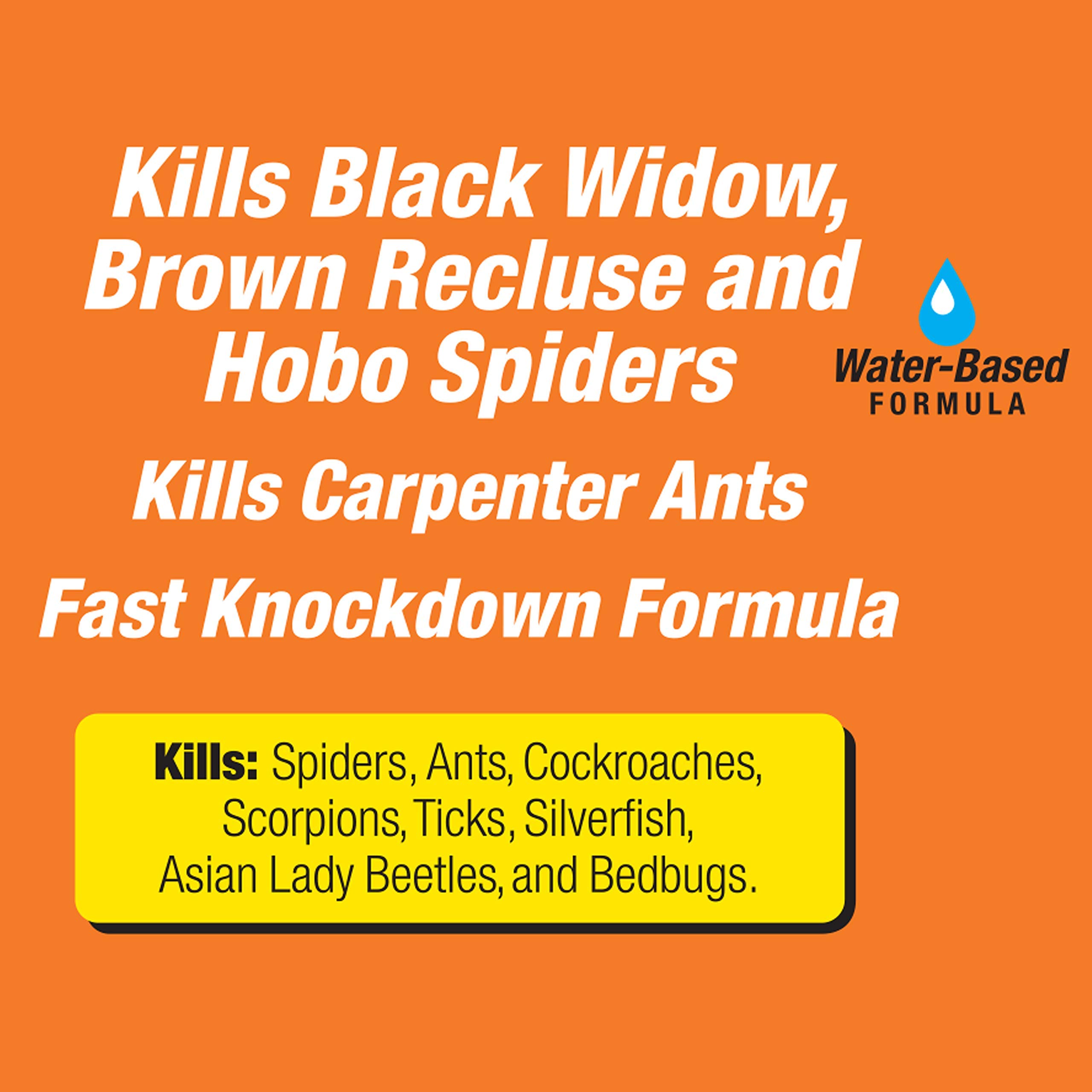 TERRO T2302-6 Spider Killer Spray for Indoors and Outdoors - Kills Spiders, Ants, Roaches, Scorpions, Ticks, Silverfish, and Other Insects