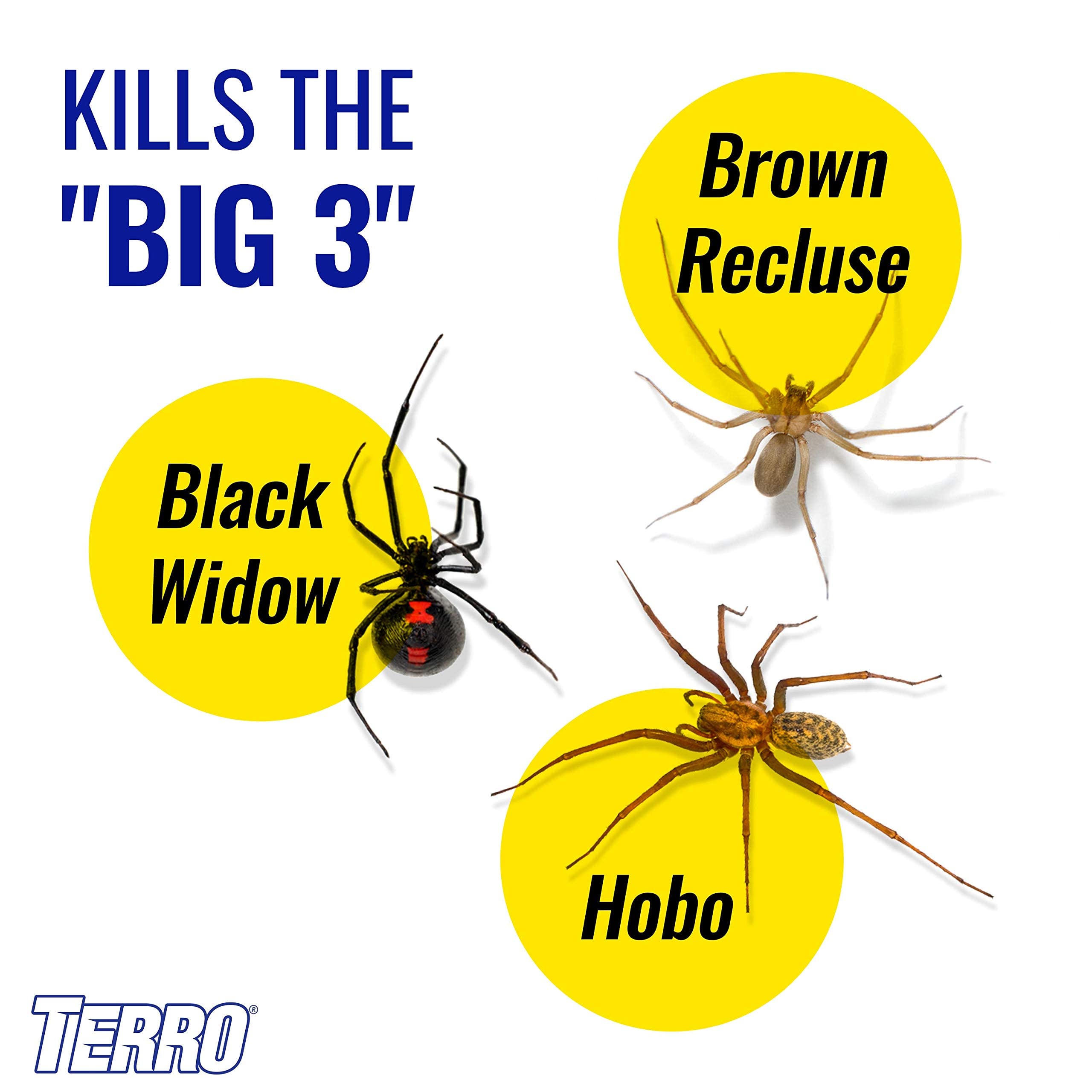 TERRO T2302-6 Spider Killer Spray for Indoors and Outdoors - Kills Spiders, Ants, Roaches, Scorpions, Ticks, Silverfish, and Other Insects