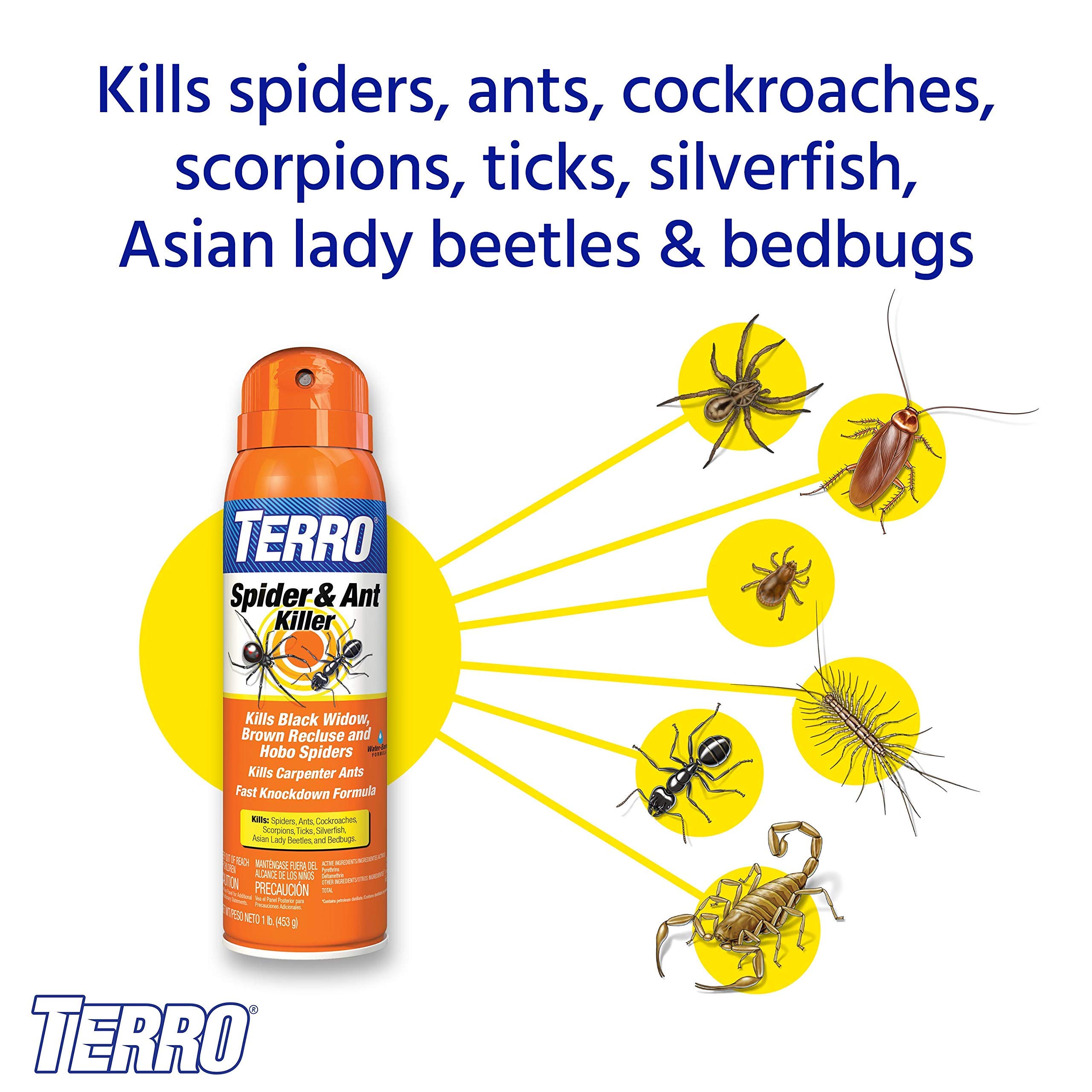 TERRO T2302-6 Spider Killer Spray for Indoors and Outdoors - Kills Spiders, Ants, Roaches, Scorpions, Ticks, Silverfish, and Other Insects