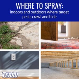 TERRO T2302-6 Spider Killer Spray for Indoors and Outdoors - Kills Spiders, Ants, Roaches, Scorpions, Ticks, Silverfish, and Other Insects