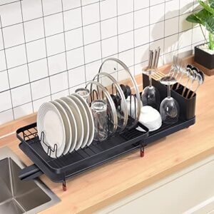 TOOLF Expandable Dish Drying Rack, Large Capacity Dish Drainer with Drainboard, Dish Rack for Kitchen, Anti-Rust Plate Rack with Glass Holder and Utensil Holder.