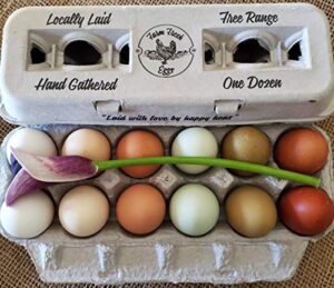 25 egg cartons – adorable vintage design for your farm fresh eggs, 100% recycled paper cardboard, sturdy & reusable, holds small to xl chicken eggs