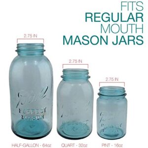 Ergo Spout mason jar traditional styled spout with ergonomic handle for syrup, dressing, gravy, sauce – nonsealing flip top cover (REGULAR MOUTH, Vintage Blue - Teal)