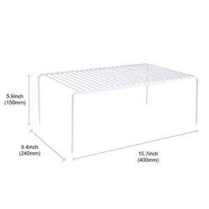 iPEGTOP 6 Pack Large (15.7 x 9.4 Inch) Freezer Cabinet Storage Shelf Rack, Rustproof Stainless Steel Kitchen Organizer Space Saver for Fridge Pantry Shelves Countertops - White