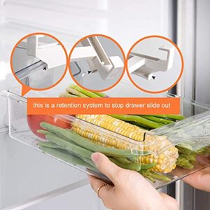 shopwithgreen 2 Pack Refrigerator Organizer Bins with Handle, Pull-out Fridge Drawer Organizer, Freely Pullable Refrigerator Storage Box with 2 Divided Sections, Fit for 0.6'' Fridge Shelf