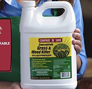 Compare-N-Save 75324 Herbicide, 1-gallon, white