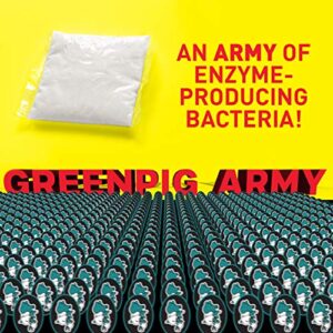 GREEN PIG 52 Live Tank Treatment Aids in The Breakdown of Septic Waste to Prevent Backups with Easy Dissolvable Flush, Consumer Strength