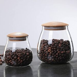 MOLADRI 800 ML/26 FL OZ Clear Cute Glass Storage Canister Holder with Airtight Bamboo Lid, Round Modern Decorative Container Jar for Coffee, Spice, Candy, Salt, Cookie, Condiment, Pepper, Sugar