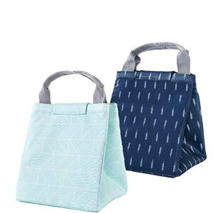 2 Pack Insulated Lunch Bags, Work Travel Picnic School Bento Lunch Bag - Durable & Waterproof Lunch Organizer Lunch Tote for Men, Women and Kids