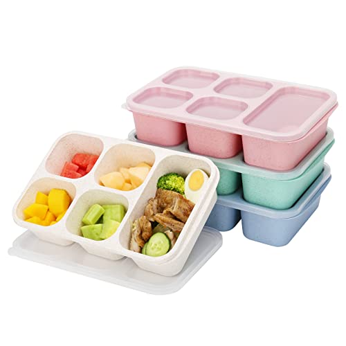 Ylebs 5 Compartment Bento Lunch Box,Reusable Meal Prep Containers,BPA-Free Stackable Divided Food Storage Container,for School, Work, and Travel, Dishwasher Safe,Set of 4