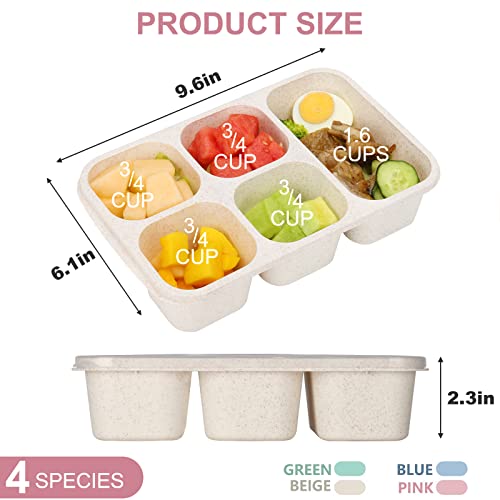 Ylebs 5 Compartment Bento Lunch Box,Reusable Meal Prep Containers,BPA-Free Stackable Divided Food Storage Container,for School, Work, and Travel, Dishwasher Safe,Set of 4