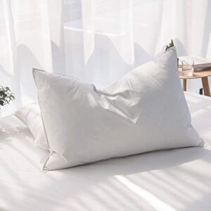 aikoful luxury goose feathers down pillows for sleeping queen size bed pillows,100% cotton 1000 thread count (queen-1 pillow)