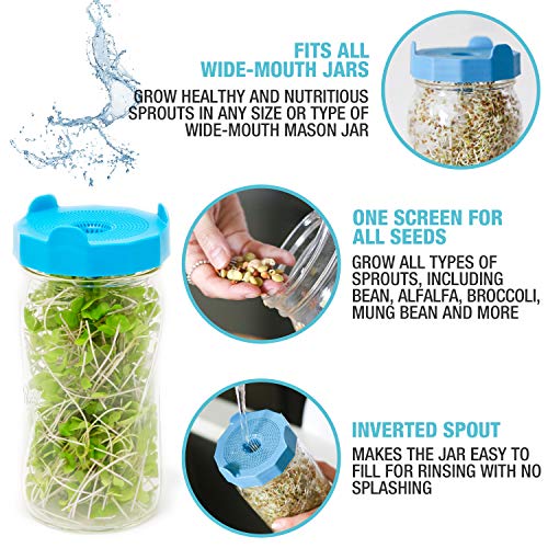 Masontops Bean Screen Microgreens Growing Kit Plastic Sprouting Lids Wide Mouth Mason Jar Sprout Kit – For Growing Broccoli Sprouts, Alfalfa, Seed & Bean Sprouts – 2 Pack Wide Mouth Sprouting Jar Lids