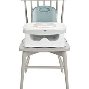 Fisher-Price Healthy Care Deluxe Booster Seat