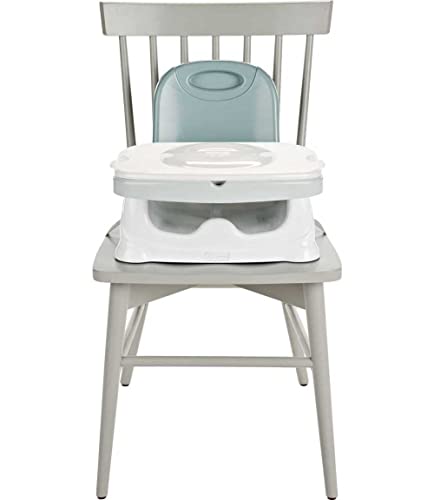 Fisher-Price Healthy Care Deluxe Booster Seat