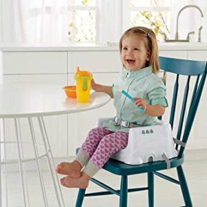 Fisher-Price Healthy Care Deluxe Booster Seat