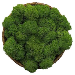 moss preserved, green moss for fairy gardens, terrariums, any craft or floral project or wedding other arts (green, 3oz)