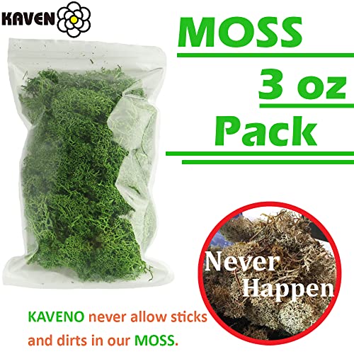 Moss Preserved, Green Moss for Fairy Gardens, Terrariums, Any Craft or Floral Project or Wedding Other Arts (Green, 3OZ)