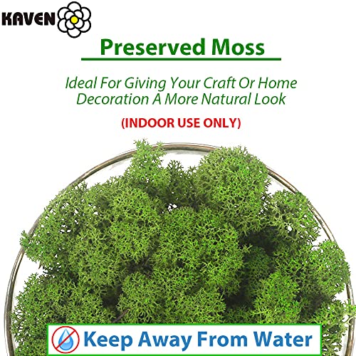 Moss Preserved, Green Moss for Fairy Gardens, Terrariums, Any Craft or Floral Project or Wedding Other Arts (Green, 3OZ)