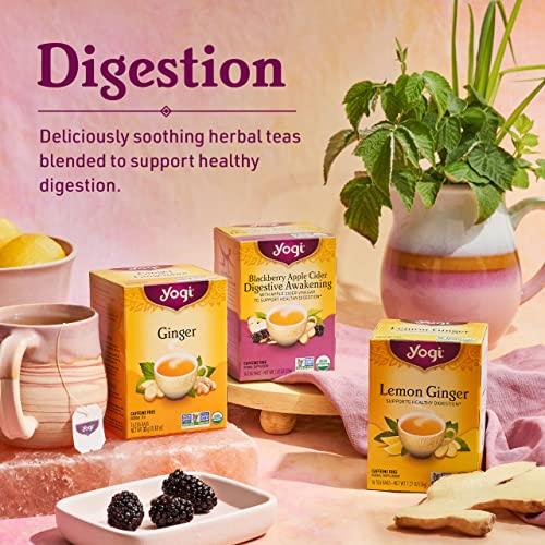 Yogi Tea - Ginger Tea (6 Pack) - Supports Healthy Digestion - Soothing and Spicy Blend - Caffeine Free - 96 Organic Herbal Tea Bags