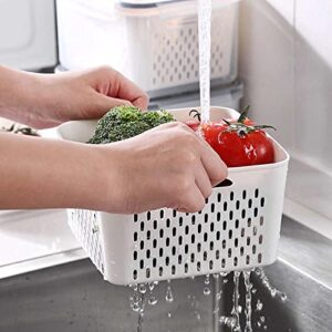 Fruit Storage Containers For Fridge Organizer Vegetable Fresh Food Keeper Produce Saver Refrigerator Reusable 4 Pack Box Multi-Size Large Capacity with Lid & Colander for Home Kicthen Travel Set