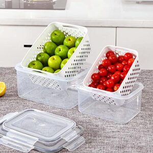 Fruit Storage Containers For Fridge Organizer Vegetable Fresh Food Keeper Produce Saver Refrigerator Reusable 4 Pack Box Multi-Size Large Capacity with Lid & Colander for Home Kicthen Travel Set