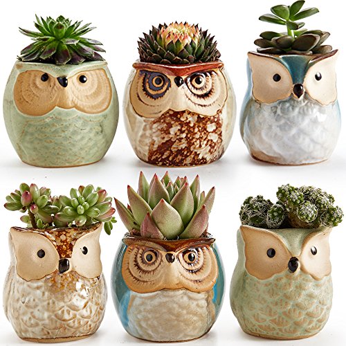 SUN-E SE Owl Pot Ceramic Flowing Glaze Base Serial Set Succulent Plant Pot Cactus Plant Pot Flower Pot Container Planter with Drainage Hole Home Office Desk Garden Gift Idea 6pcs 2.5 Inch