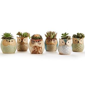 SUN-E SE Owl Pot Ceramic Flowing Glaze Base Serial Set Succulent Plant Pot Cactus Plant Pot Flower Pot Container Planter with Drainage Hole Home Office Desk Garden Gift Idea 6pcs 2.5 Inch