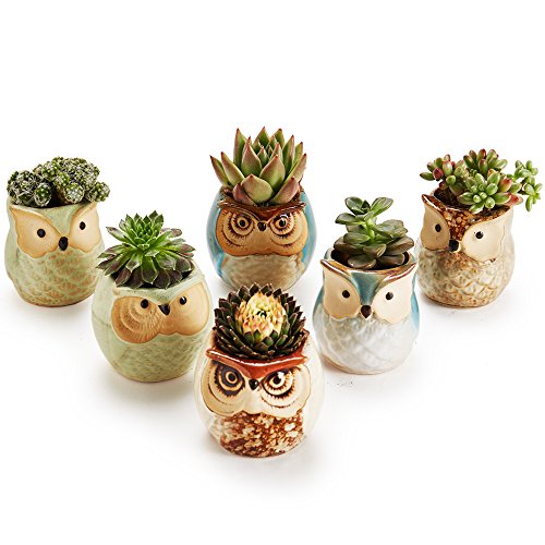 SUN-E SE Owl Pot Ceramic Flowing Glaze Base Serial Set Succulent Plant Pot Cactus Plant Pot Flower Pot Container Planter with Drainage Hole Home Office Desk Garden Gift Idea 6pcs 2.5 Inch