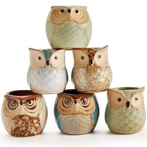 SUN-E SE Owl Pot Ceramic Flowing Glaze Base Serial Set Succulent Plant Pot Cactus Plant Pot Flower Pot Container Planter with Drainage Hole Home Office Desk Garden Gift Idea 6pcs 2.5 Inch