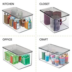 mDesign Plastic Deep Storage Bin Box Container with Lid and Built-In Handles - Organization for Fruit, Snacks, or Food in Kitchen Pantry, Cabinet, Cupboard, Ligne Collection, 6 Pack, Clear/Smoke Gray