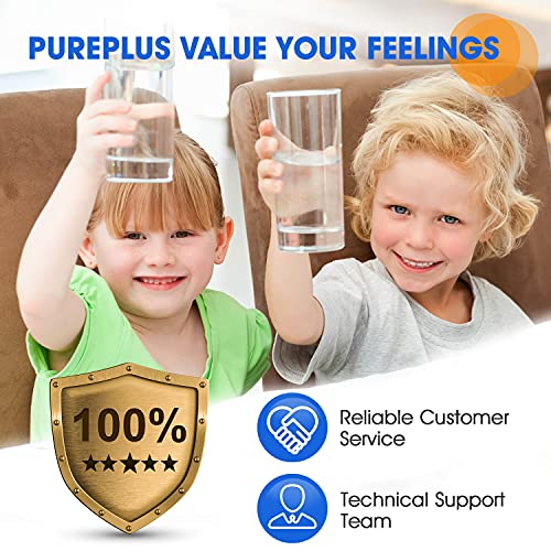 PUREPLUS 5 Micron 10" x 4.5" Whole House Sediment and Carbon Water Filter Replacement Cartridge for GE FXHTC, GXWH40L, GXWH35F, GNWH38S, Culligan RFC-BBSA, WRC25HD, PP10BB-CC, Pentek RFC-BB, 2Pack