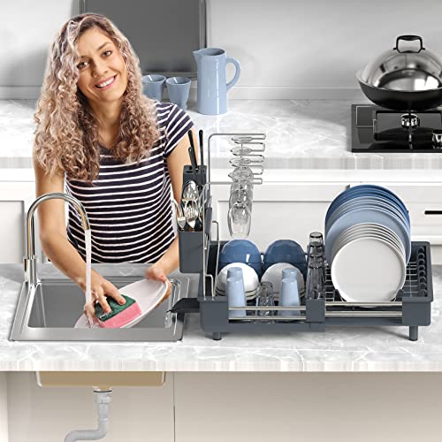 ROTTOGOON Dish Drying Rack, Stainless Steel Large Dish Rack, Expandable (12.8"-19.1") Dish Drainer with Swivel Spout, Utensil Holder, Cup Holder and Wine Glass Holder for Kitchen Counter Cabinet, Gray