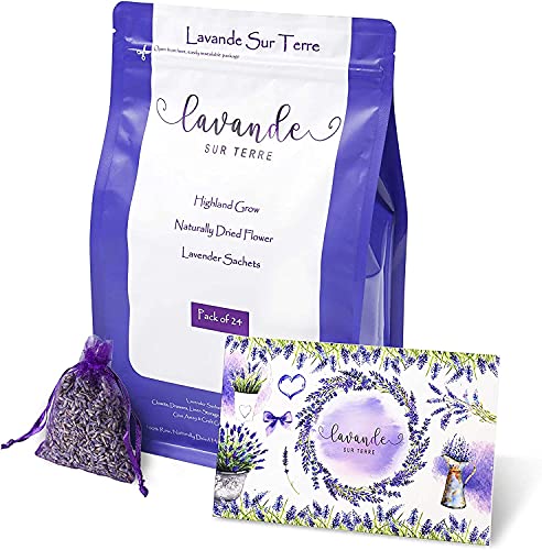 French Lavender Sachets for Drawers and Closets Fresh Scents, Home Fragrance Sachet, Pack of 24, Purple, LV-S-C-24-1