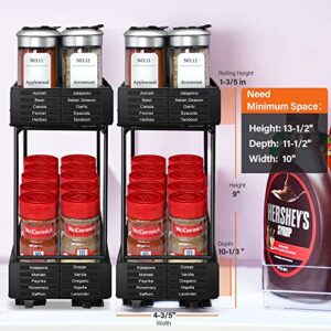 Xpatee [2 Pack Pull Out Spice Rack Organizer for Cabinet with 480 Labels, 2-Tier Heavy Duty Slide Out Seasoning Organizer for Kitchen Cabinets , Sliding Cabinet Organizer 4.6" W x10.3 D x9 H