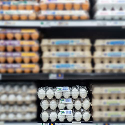 DAJAVE Plastic Egg Cartons Bulk, 20 Pack Clear Plastic Egg Carton Holds Up to 30 Eggs, Reusable Plastic Egg Holder for Family, Pasture, Farm Markets Display(Large)