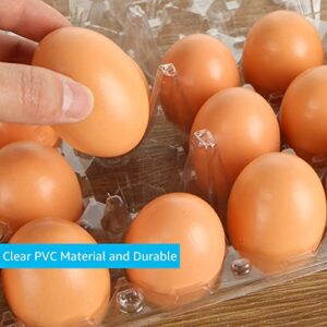 DAJAVE Plastic Egg Cartons Bulk, 20 Pack Clear Plastic Egg Carton Holds Up to 30 Eggs, Reusable Plastic Egg Holder for Family, Pasture, Farm Markets Display(Large)