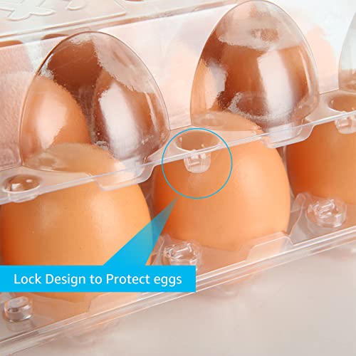 DAJAVE Plastic Egg Cartons Bulk, 20 Pack Clear Plastic Egg Carton Holds Up to 30 Eggs, Reusable Plastic Egg Holder for Family, Pasture, Farm Markets Display(Large)