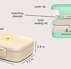 Eco-Life Home Design Bento Box - Eco Friendly, Leakproof Bento Lunch Box. Five Compartment, Wheat Fiber Bento Box for Kids and Adults. Microwave and Freezer Friendly Edo Box