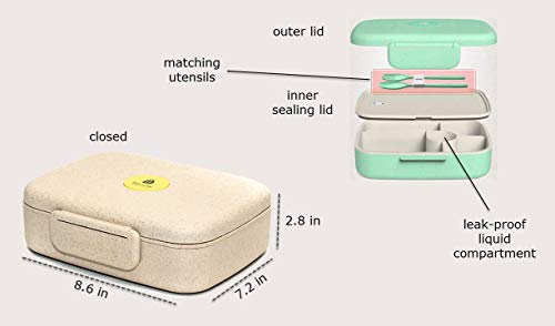 Eco-Life Home Design Bento Box - Eco Friendly, Leakproof Bento Lunch Box. Five Compartment, Wheat Fiber Bento Box for Kids and Adults. Microwave and Freezer Friendly Edo Box