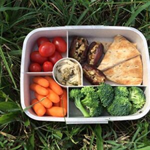 Eco-Life Home Design Bento Box - Eco Friendly, Leakproof Bento Lunch Box. Five Compartment, Wheat Fiber Bento Box for Kids and Adults. Microwave and Freezer Friendly Edo Box