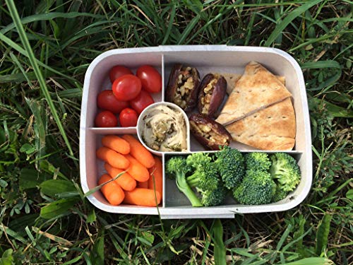 Eco-Life Home Design Bento Box - Eco Friendly, Leakproof Bento Lunch Box. Five Compartment, Wheat Fiber Bento Box for Kids and Adults. Microwave and Freezer Friendly Edo Box