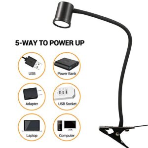 Reading Light, Reading Lights for Books in Bed, Reading Lamp, Book Light, Book Light for Reading in Bed, Clip on Light, Bed Lamp, Clip Light, Clamp Lamp, 3 Colors, 10 Brightness, Small Desk Lamp