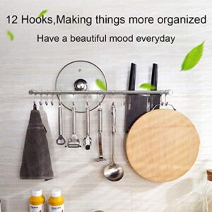 Wall Mounted Utensil Rack Stainless Steel Hanging Kitchen Rail with 12 Removable Hooks Hanger Organizer (22 inches)