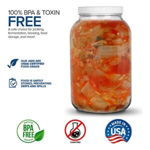 Stock Your Home 128 Oz Glass Jar with Plastic Airtight Lid (2 Pack) - 1 Gallon Glass Jar for pickling, fermentation, brewing, food storage